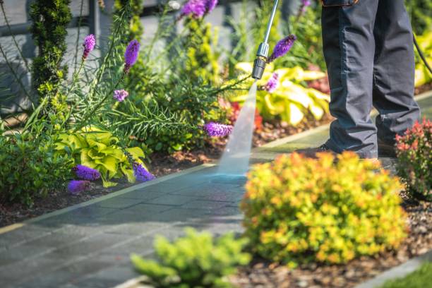 Best Driveway Pressure Washing  in Starkville, MS